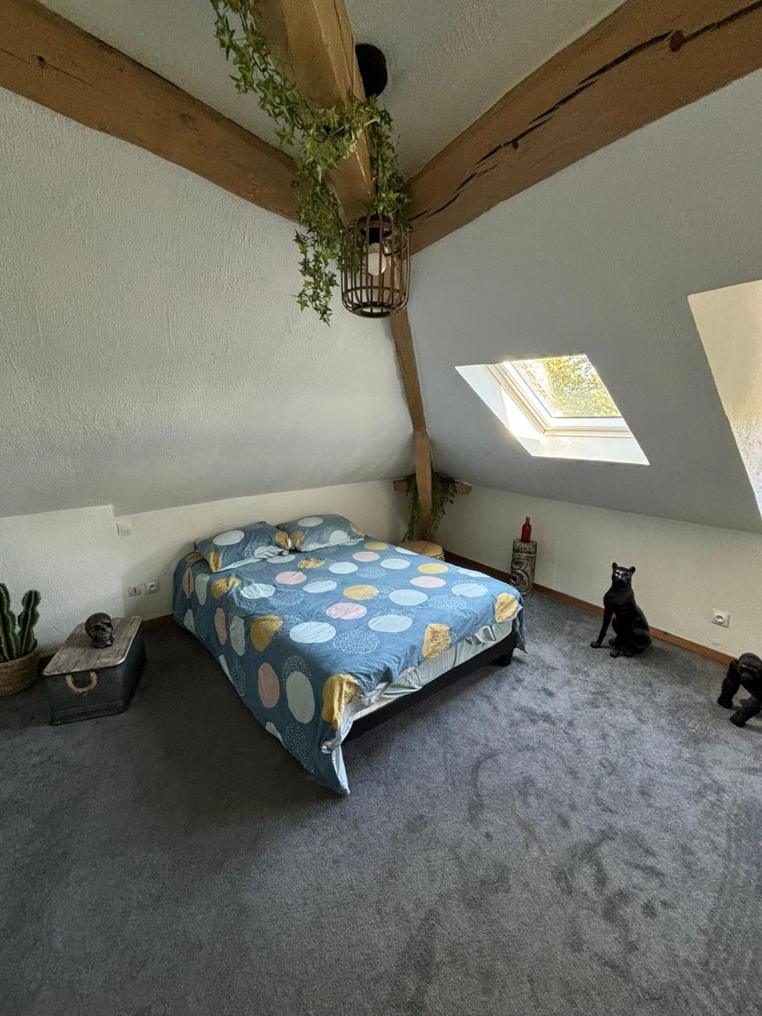 Appartamento Jungle Cosy Louviers Esterno foto