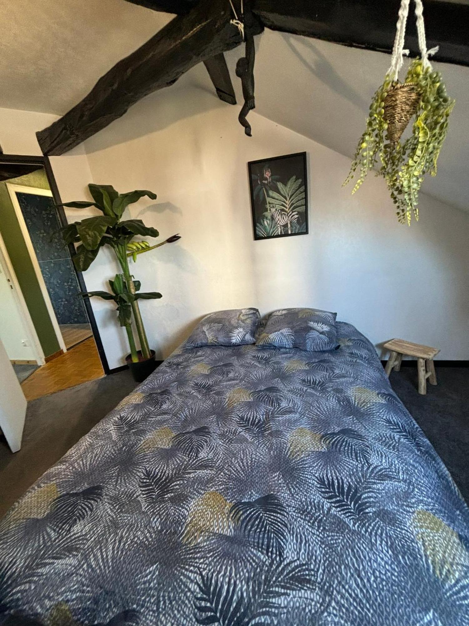 Appartamento Jungle Cosy Louviers Esterno foto